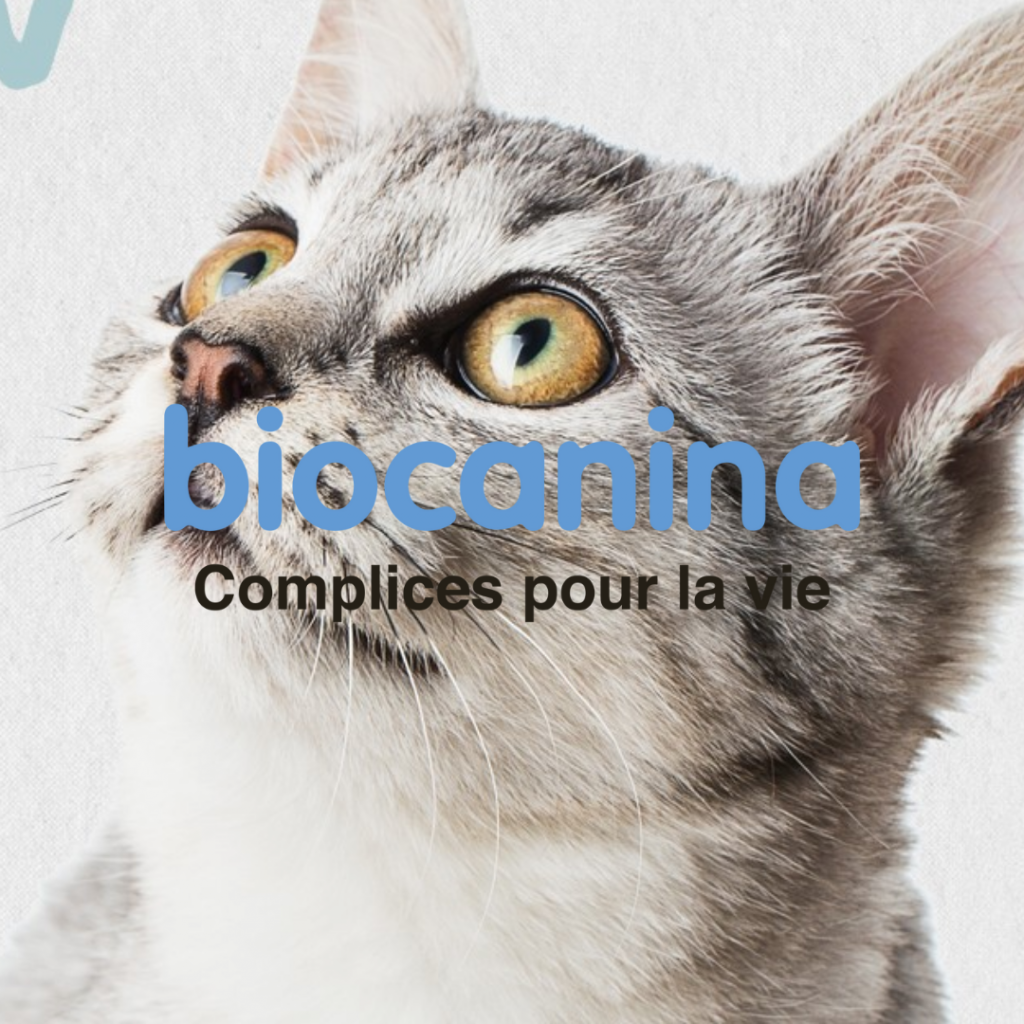Campagne social media développée pour Biocanina, marque experte en santé animale, illustrée par un visuel mettant en avant un chat