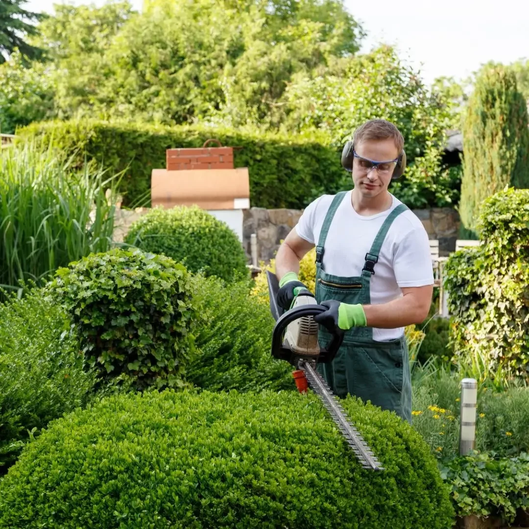 Jardinier professionnel taillant une haie dans un jardin bien entretenu