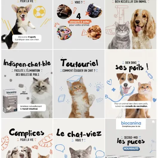 Mosaïque de publications social media Biocanina – conseils, produits et contenus humoristiques pour chiens et chats