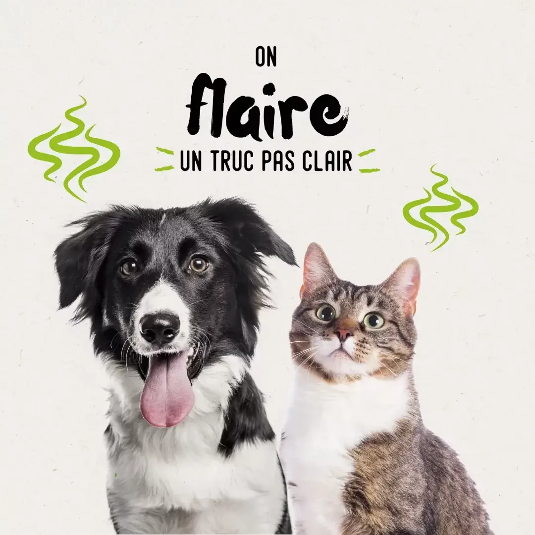 Chien et chat avec une expression surprise, accompagnés du message “On flaire un truc pas clair” – visuel humoristique Biocanina